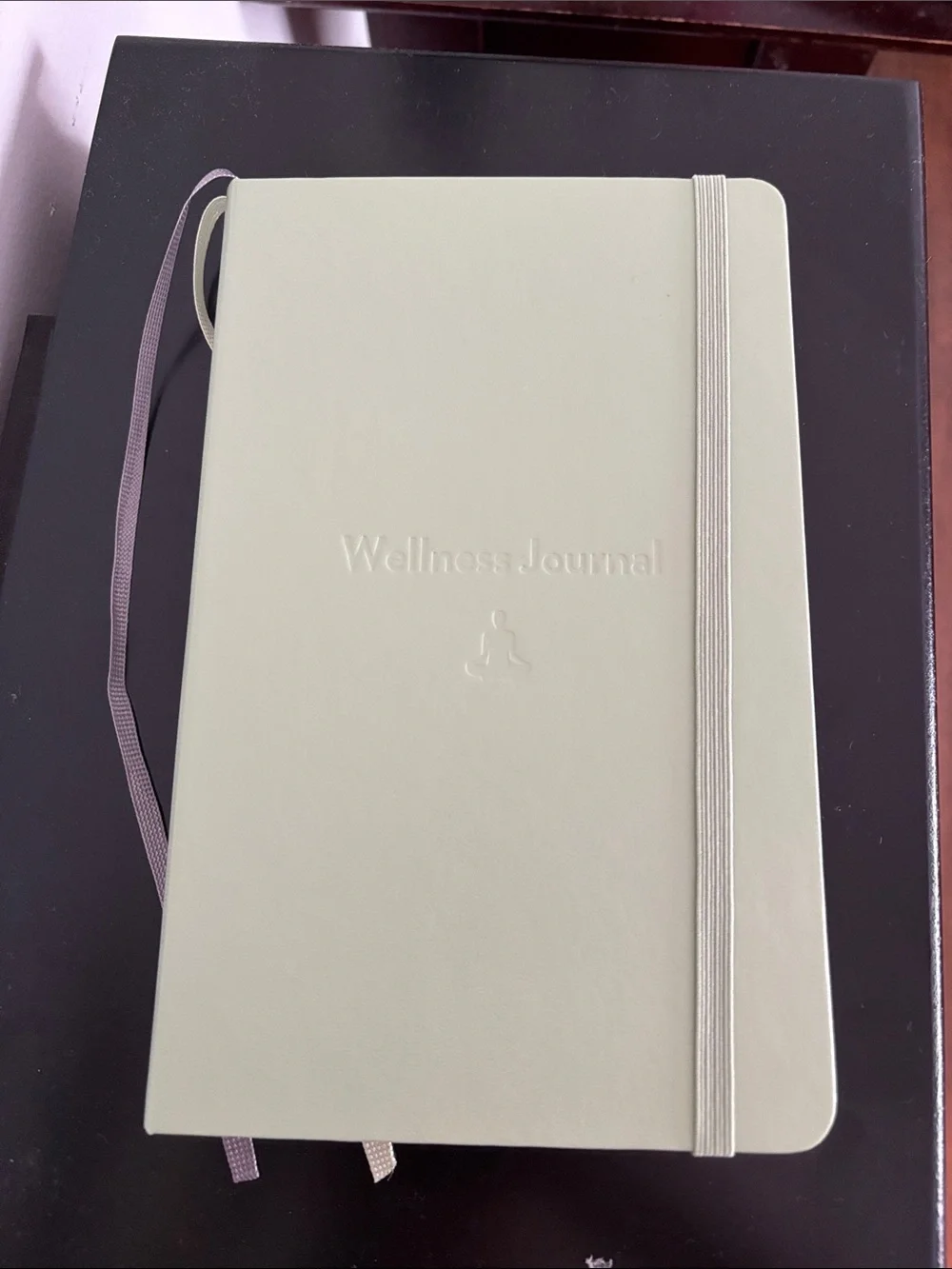 NEW!! Moleskine Passion Wellness Journal